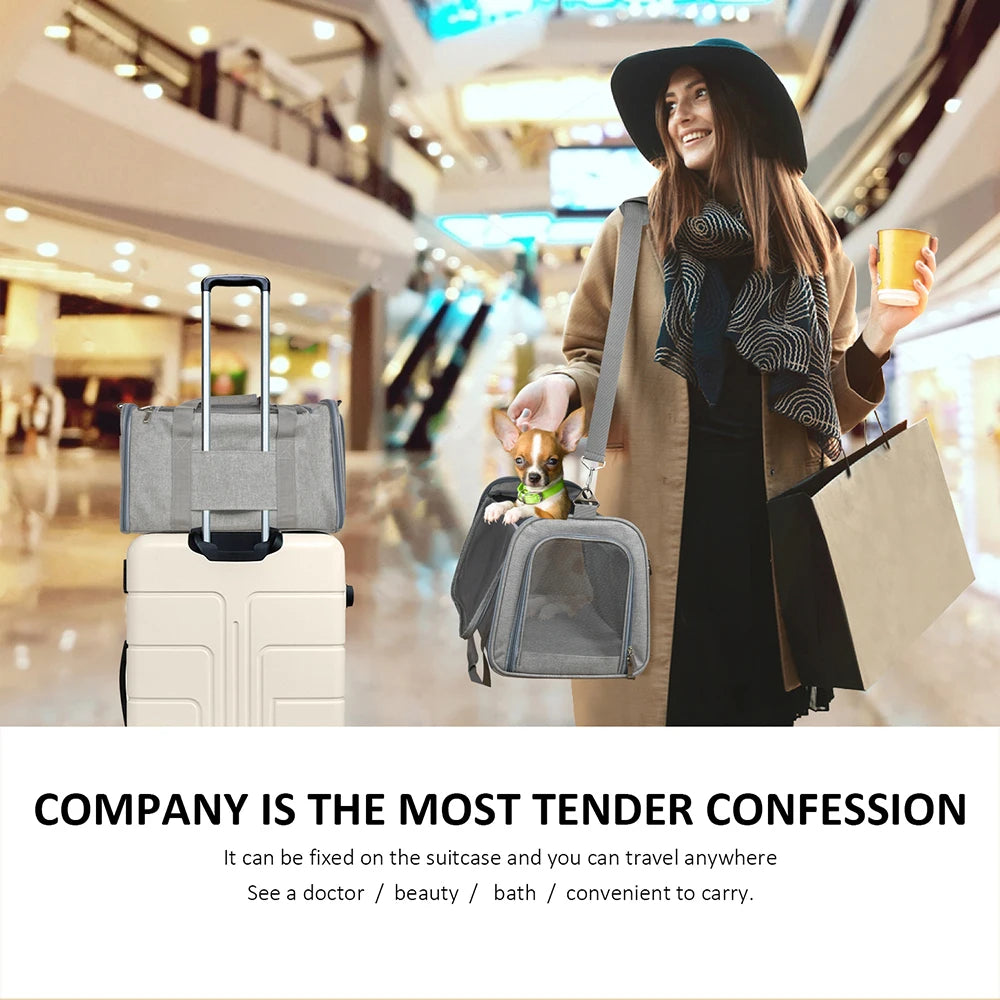Airline-Approved Pet Carrier – Breathable & Portable Travel Bag