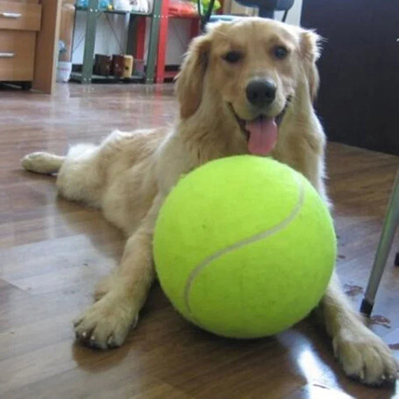 Giant Inflatable Dog Tennis Ball Toy