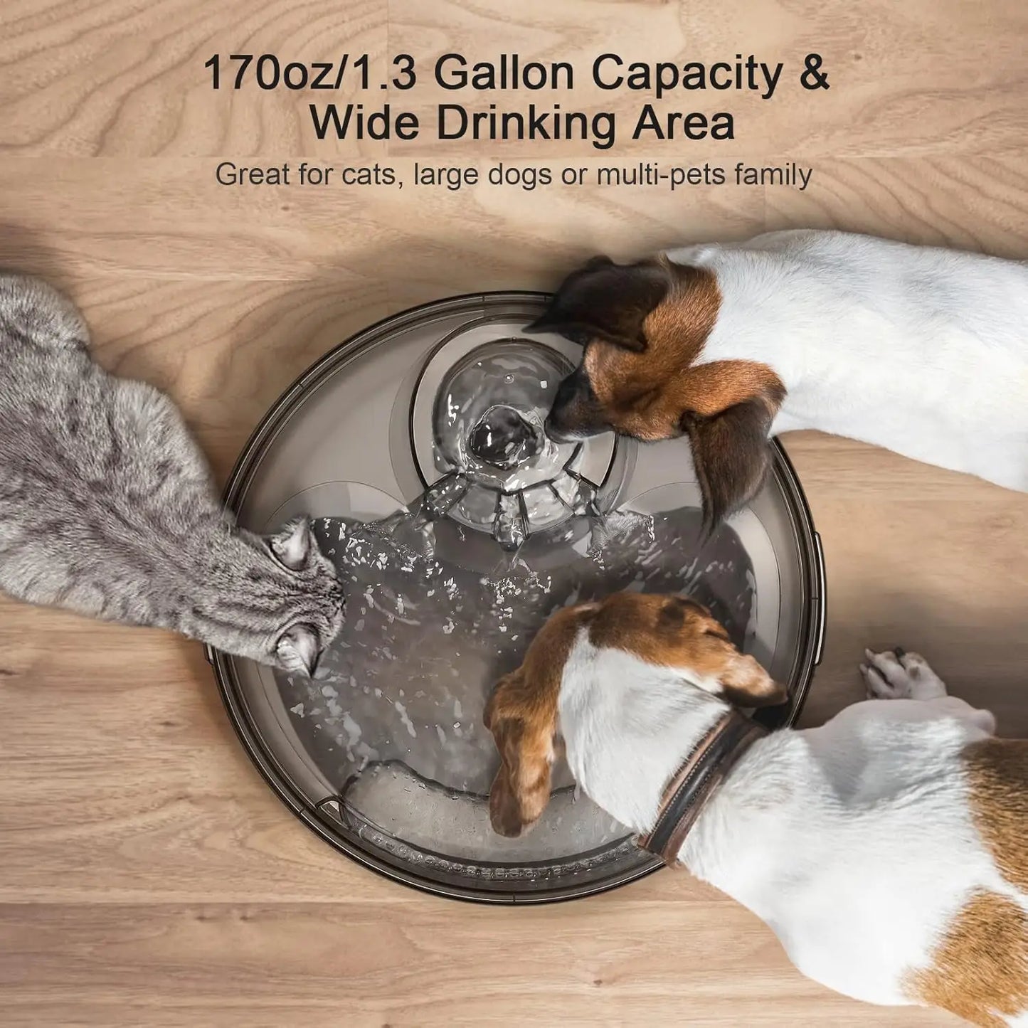 Automatic Pet Water Fountain 5 Liter Capacity