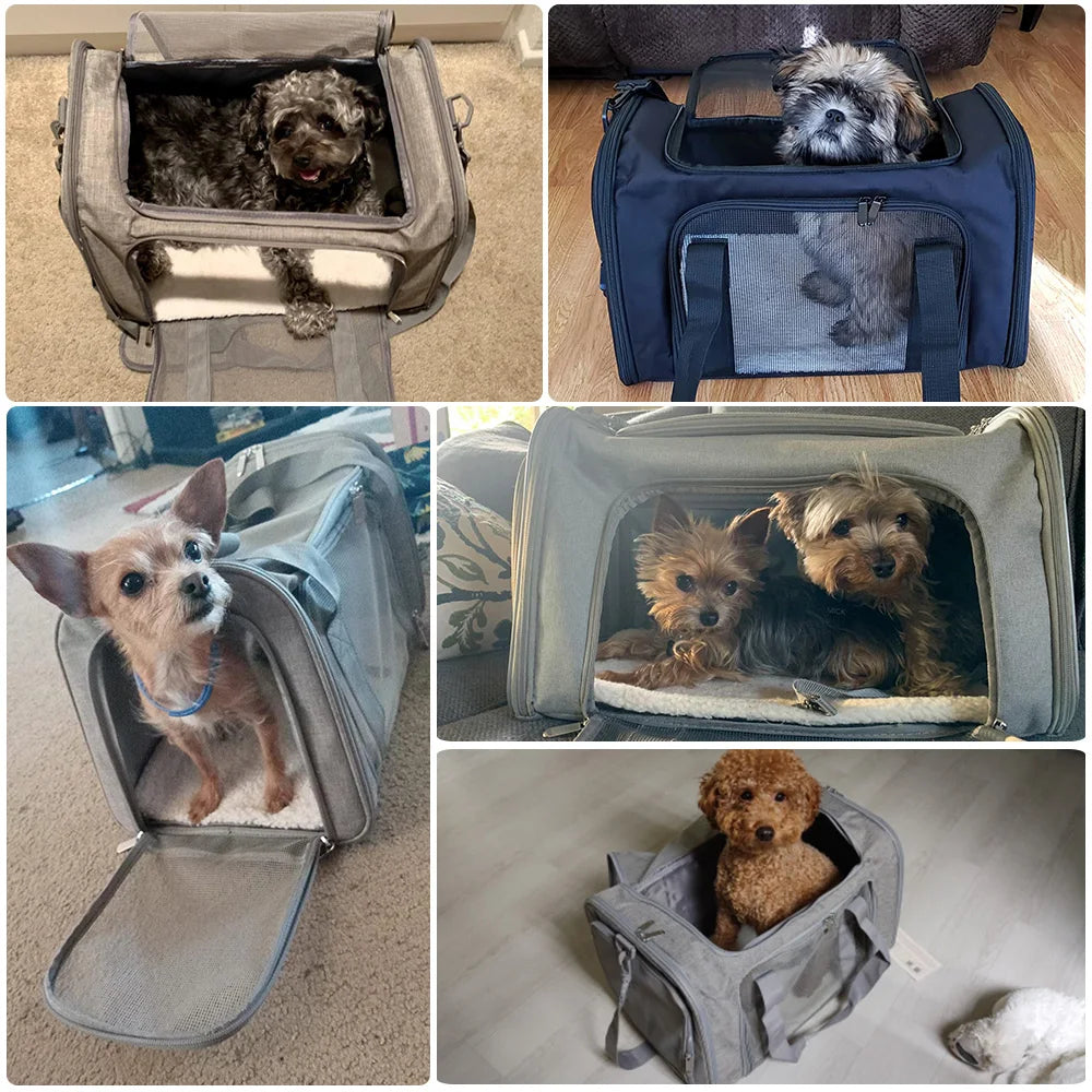 Airline-Approved Pet Carrier – Breathable & Portable Travel Bag