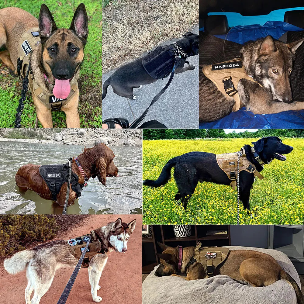 PETRAVEL Adjustable Dog Harness & Collar Set – Durable Nylon Vest with Quick Release & No-Pull Design